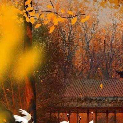 蓝魔手机版下载